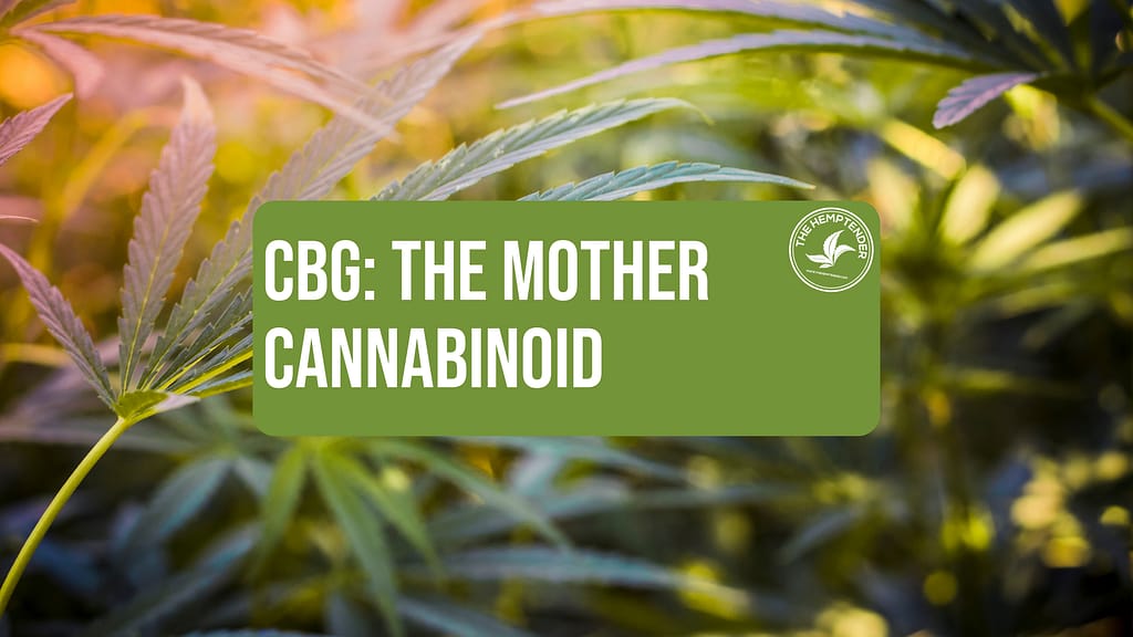 Learn more about CBG by The Hemptender