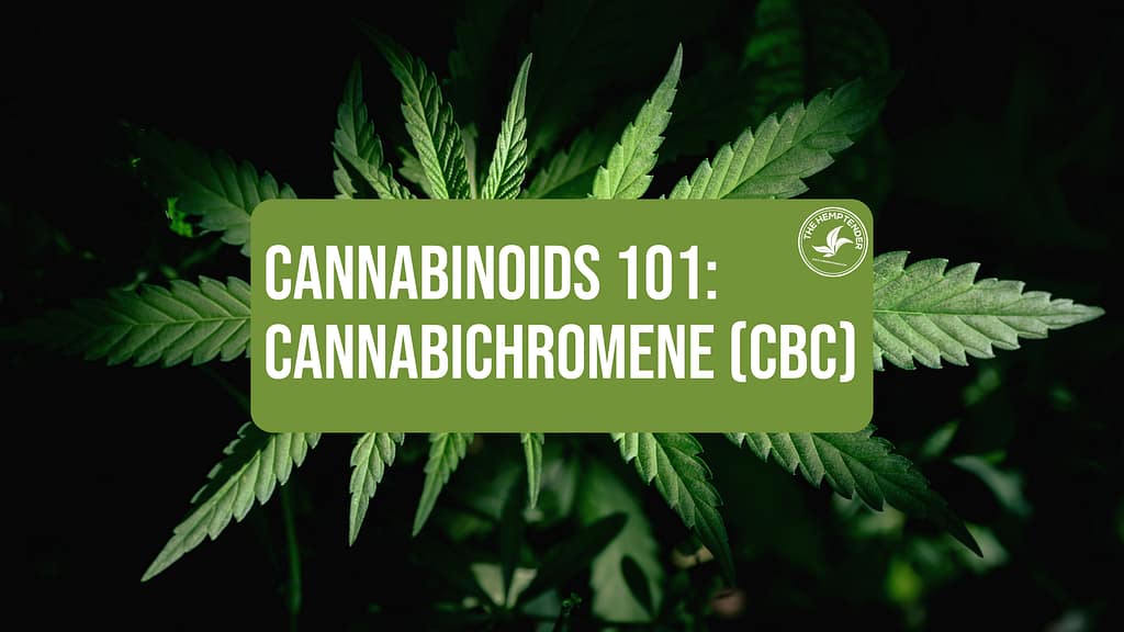 an image of hemp leaves with text reading "casnnabinoids 101: cannabichromene (CBC)
