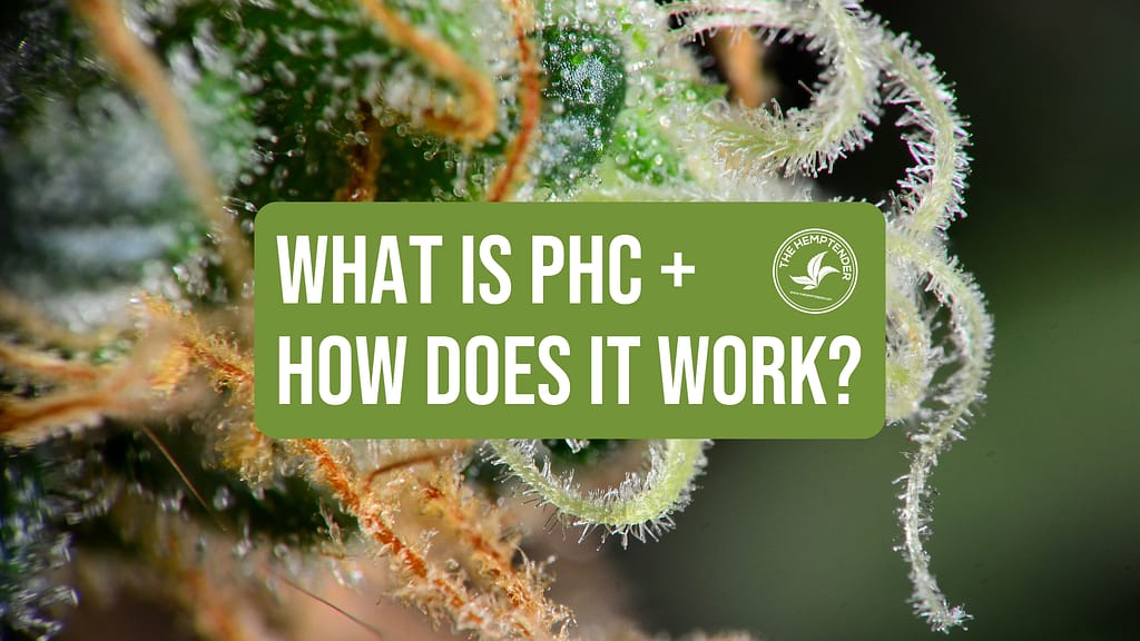 PHC cannabinoid information on cannabis macro background