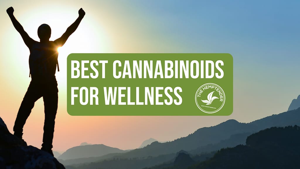 a person standing on a mountain with their arms in the air practicing wellness at sunset with text that reads "best cannabinoids for wellness"