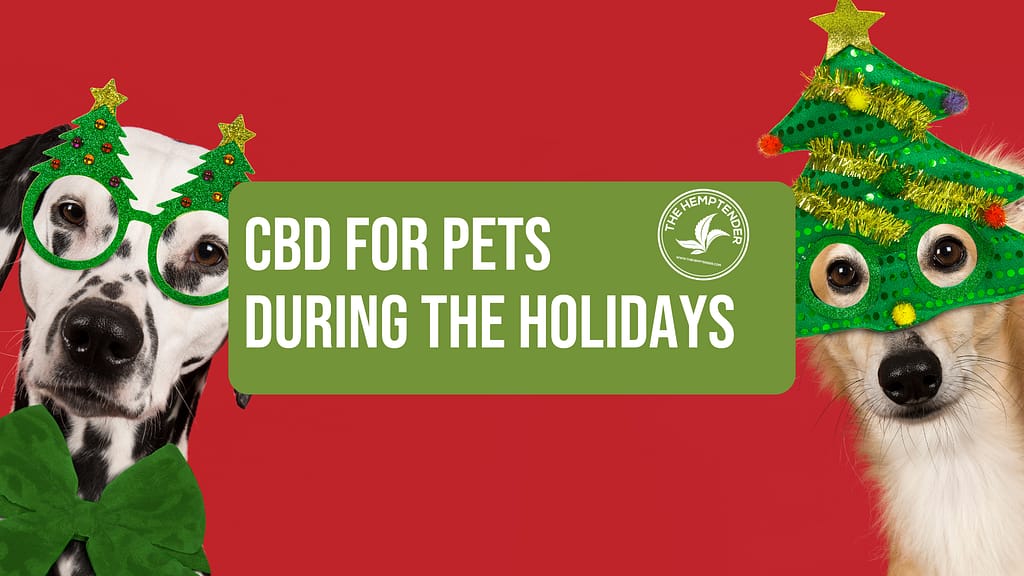 two dogs in festive holiday costumes on a red background with text that reads "cbd for pets during the holidays"