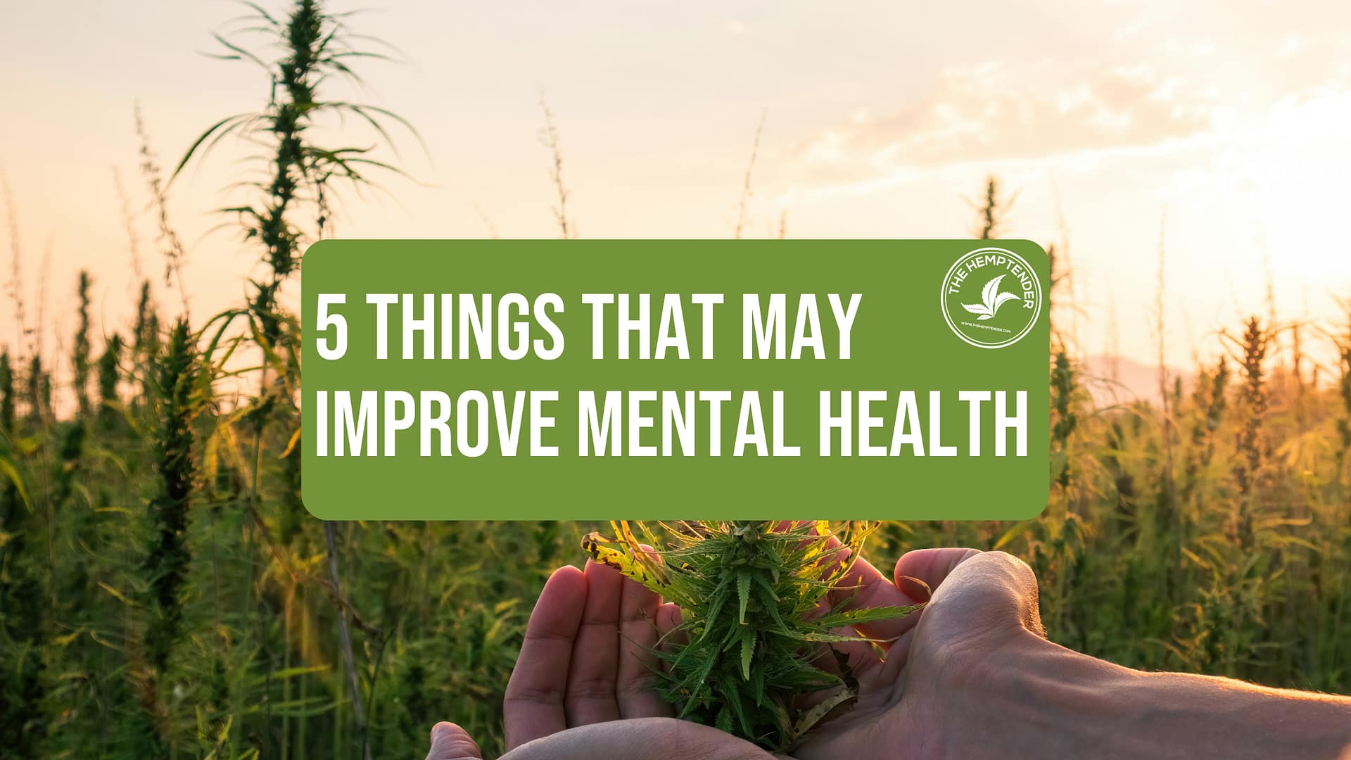 5 Things To Do That May Help Improve Your Mental Health by The Hemptender