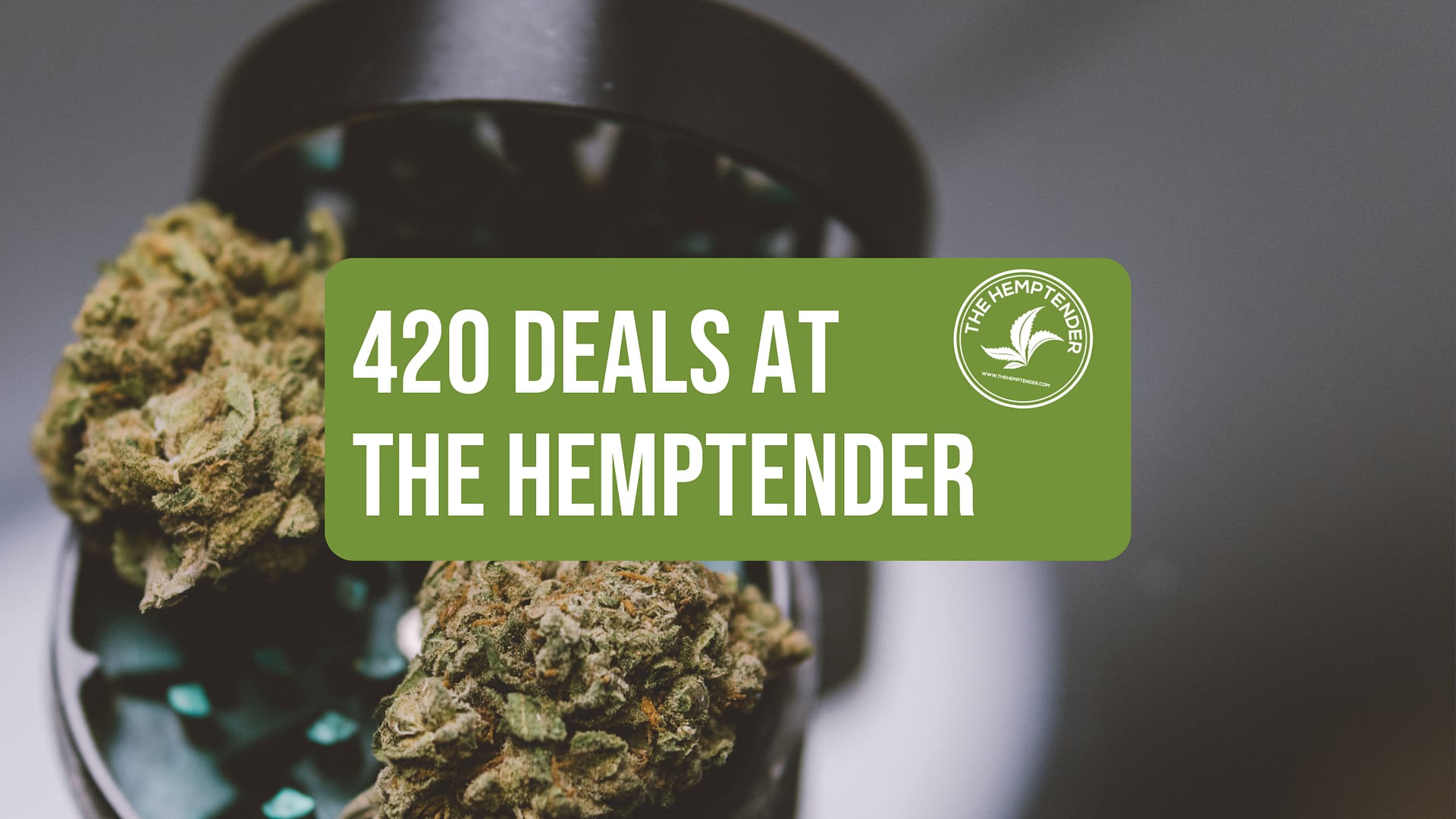 420 deals at the hemptender text floating above an image of a black grinder with cannabis flowers inside it.