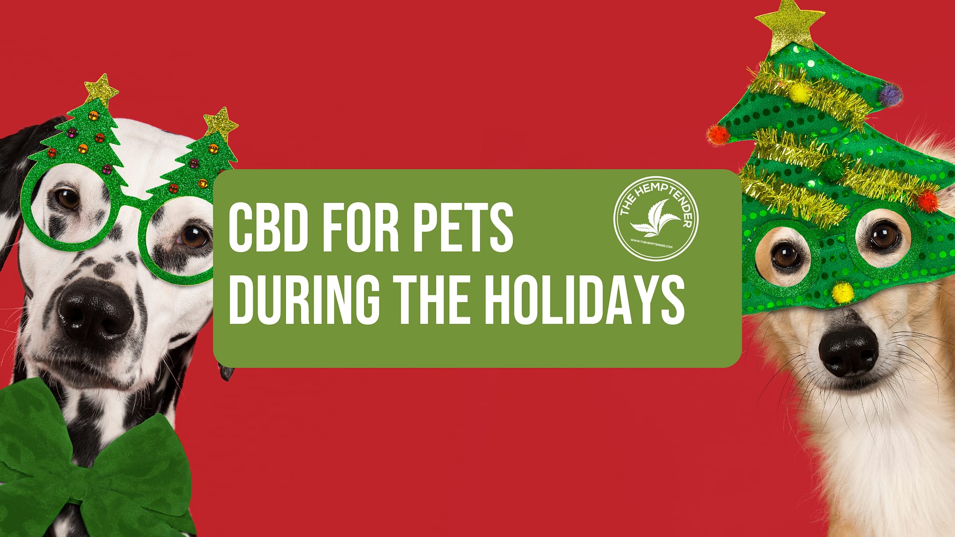 two dogs in festive holiday costumes on a red background with text that reads "cbd for pets during the holidays"